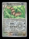 Furret