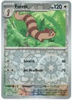 Furret