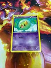 Solosis