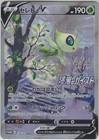 Celebi V 