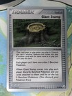Giant Stump