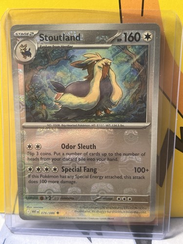 Stoutland