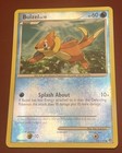 Buizel