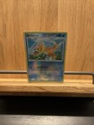 Buizel