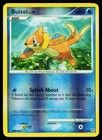 Buizel