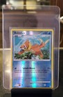 Buizel