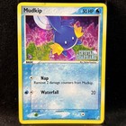 Mudkip