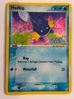 Mudkip