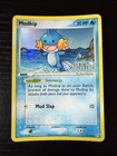 Mudkip