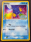 Mudkip