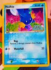 Mudkip