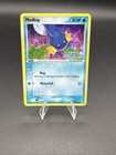 Mudkip