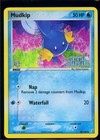Mudkip
