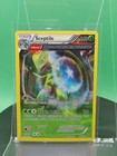 Sceptile