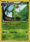 Sceptile