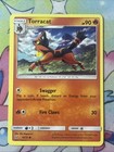Torracat