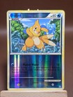 Buizel