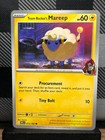 Team Rocket's Mareep