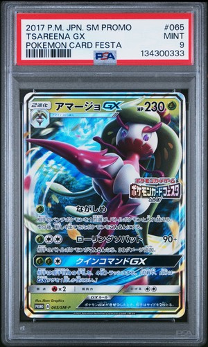 Summer Festa Pikachu 