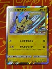 Summer Festa Pikachu 