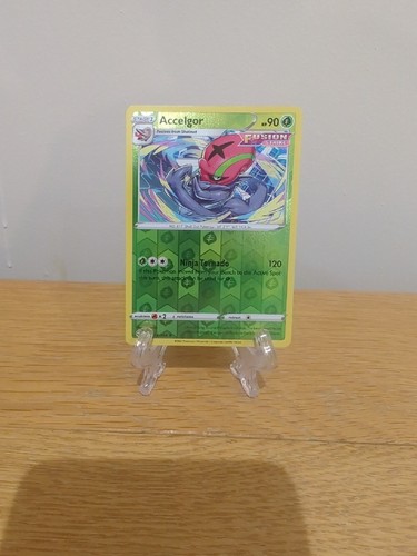 Accelgor