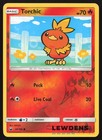 Torchic