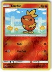 Torchic
