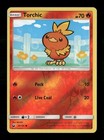 Torchic