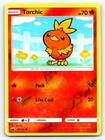 Torchic