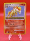Rapidash