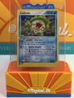 Ludicolo
