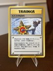 Misty's Tears