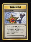Misty's Tears