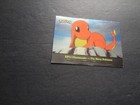 Charmander-the Stray Pokemon