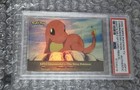 Charmander-the Stray Pokemon