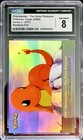 Charmander-the Stray Pokemon