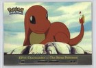 Charmander-the Stray Pokemon