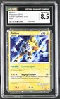 Raikou