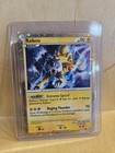 Raikou