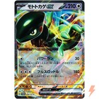 Cyclizar ex 