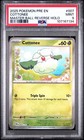 Cottonee