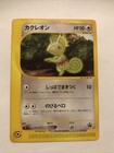 Kecleon 