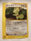 Kecleon 