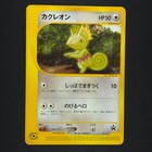 Kecleon 