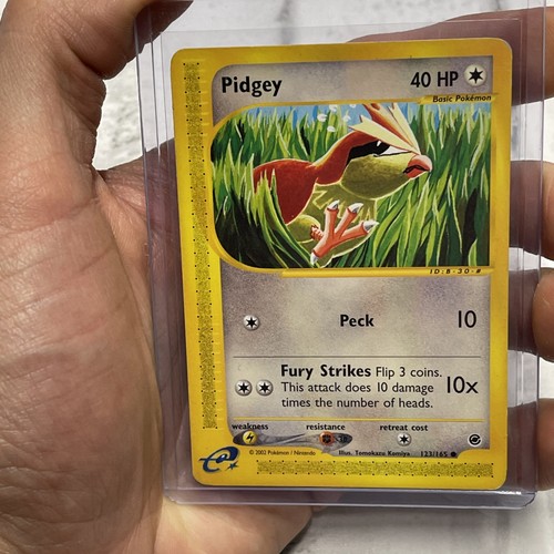 Pidgey
