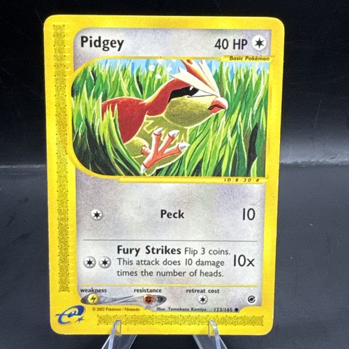 Pidgey