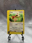 Pidgey