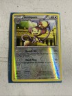 Ambipom