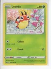 Ledyba