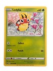 Ledyba